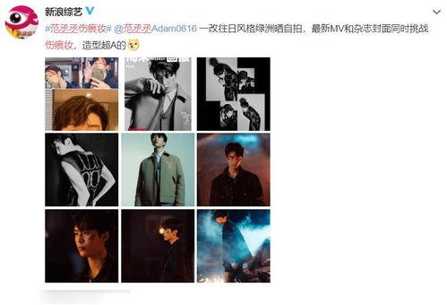 伤痕最新爆料视频,最新视频揭秘惊人内幕  第1张